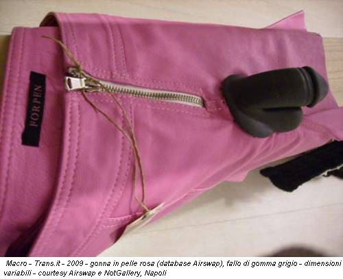 Macro - Trans.it - 2009 - gonna in pelle rosa (database Airswap), fallo di gomma grigio - dimensioni variabili - courtesy Airswap e NotGallery, Napoli