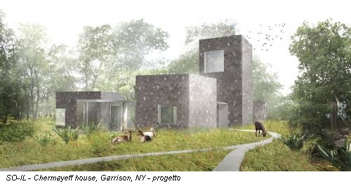 SO-IL - Chermayeff house, Garrison, NY - progetto