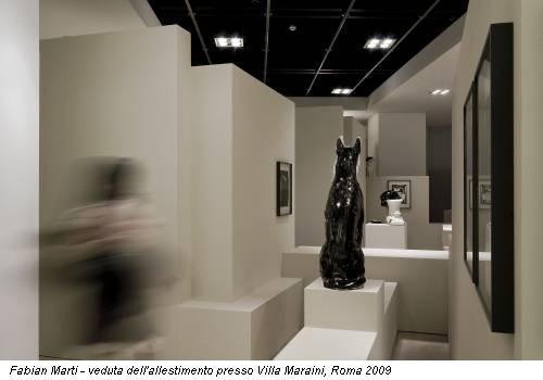Fabian Marti - veduta dell'allestimento presso Villa Maraini, Roma 2009