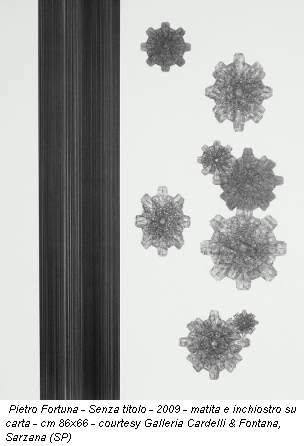 Pietro Fortuna - Senza titolo - 2009 - matita e inchiostro su carta - cm 86x66 - courtesy Galleria Cardelli & Fontana, Sarzana (SP)