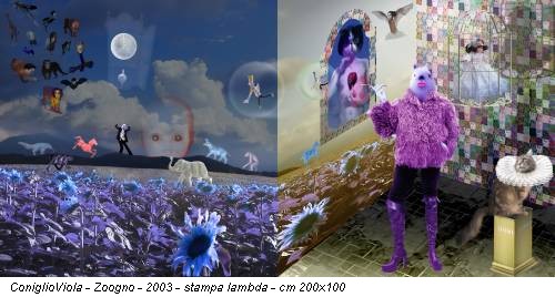 ConiglioViola - Zoogno - 2003 - stampa lambda - cm 200x100