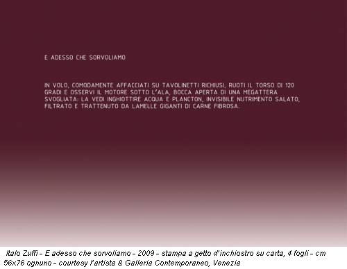 Italo Zuffi - E adesso che sorvoliamo - 2009 - stampa a getto d’inchiostro su carta, 4 fogli - cm 56x76 ognuno - courtesy l’artista & Galleria Contemporaneo, Venezia