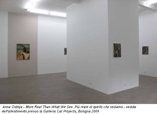 Anna Ostoya - More Real Than What We See. Più reale di quello che vediamo - veduta dell'allestimento presso la Galleria Car Projects, Bologna 2009