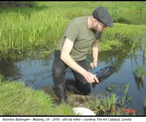 Brandon Ballengée - Malamp_Uk - 2008 - still da video - courtesy The Art Catalyst, Londra