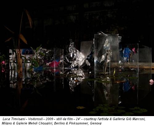 Luca Trevisani - Vodorosli - 2009 - still da film - 24’ - courtesy l'artista & Galleria Giò Marconi, Milano & Galerie Mehdi Chouakri, Berlino & Pinksummer, Genova