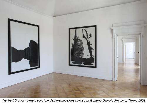 Herbert Brandl - veduta parziale dell’installazione presso la Galleria Giorgio Persano, Torino 2009