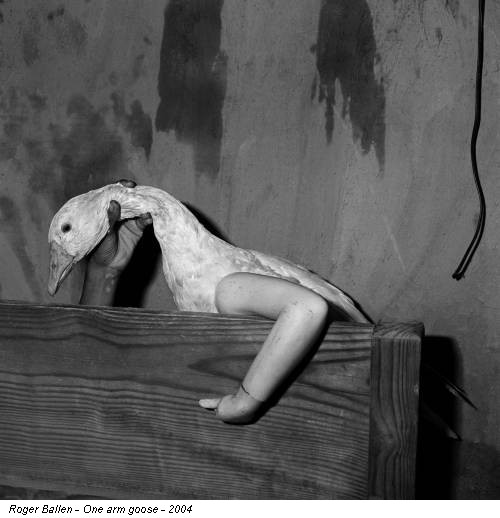 Roger Ballen - One arm goose - 2004