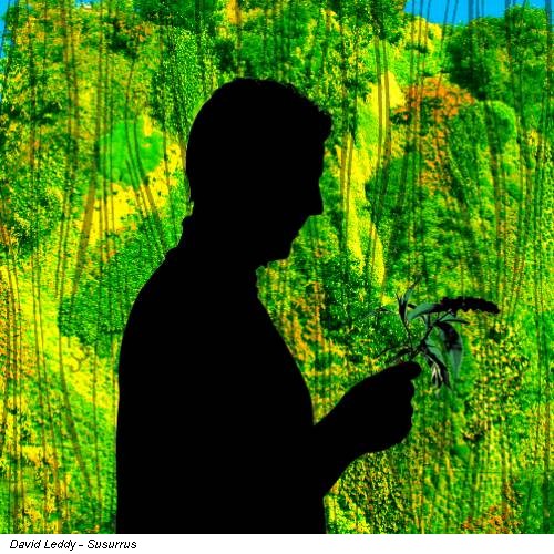 David Leddy - Susurrus