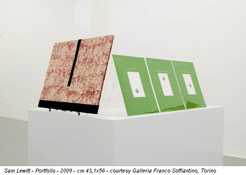 Sam Lewitt - Portfolio - 2009 - cm 43,1x56 - courtesy Galleria Franco Soffiantino, Torino