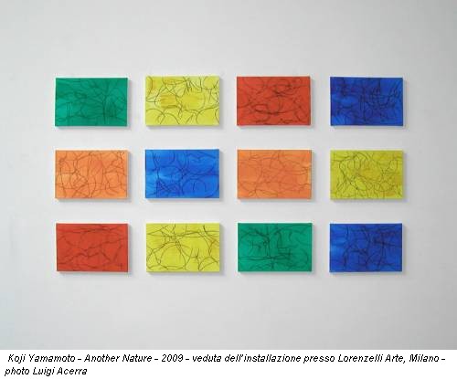 Koji Yamamoto - Another Nature - 2009 - veduta dell’installazione presso Lorenzelli Arte, Milano - photo Luigi Acerra