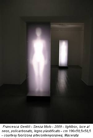 Francesca Gentili - Senza titolo - 2009 - lightbox, luce al neon, policarbonato, legno plastificato - cm 196x59,5x58,5 - courtesy fuorizona artecontemporanea, Macerata