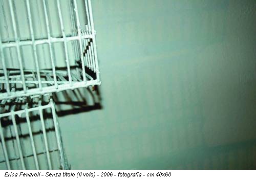 Erica Fenaroli - Senza titolo (Il volo) - 2006 - fotografia - cm 40x60