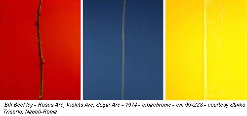 Bill Beckley - Roses Are, Violets Are, Sugar Are - 1974 - cibachrome - cm 95x228 - courtesy Studio Trisorio, Napoli-Roma