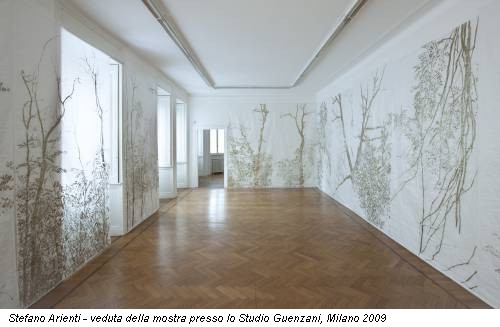 Stefano Arienti - veduta della mostra presso lo Studio Guenzani, Milano 2009