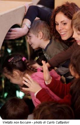 Vietato non toccare - photo di Carlo Cattadori