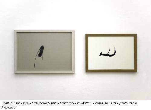 Matteo Fato - [133=1732,5cm2] / [023=1260cm2] - 2004/2009 - china su carta - photo Paolo Angelucci