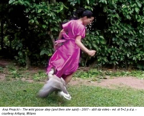 Ana Prvacki - The wild goose step (and then she said) - 2007 - still da video - ed. di 5+2 p.d.a. - courtesy Artopia, Milano