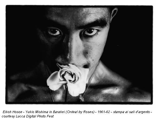 Eikoh Hosoe - Yukio Mishima in Barakei (Ordeal by Roses) - 1961-62 - stampa ai sali d’argento - courtesy Lucca Digital Photo Fest