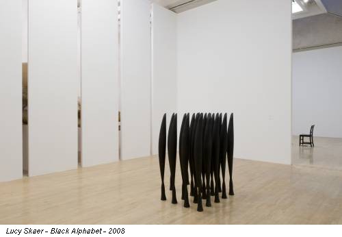 Lucy Skaer - Black Alphabet - 2008