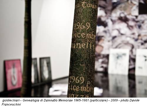 goldiechiari - Genealogia di Damnatio Memoriae 1965-1981 (particolare) - 2009 - photo Davide Franceschini