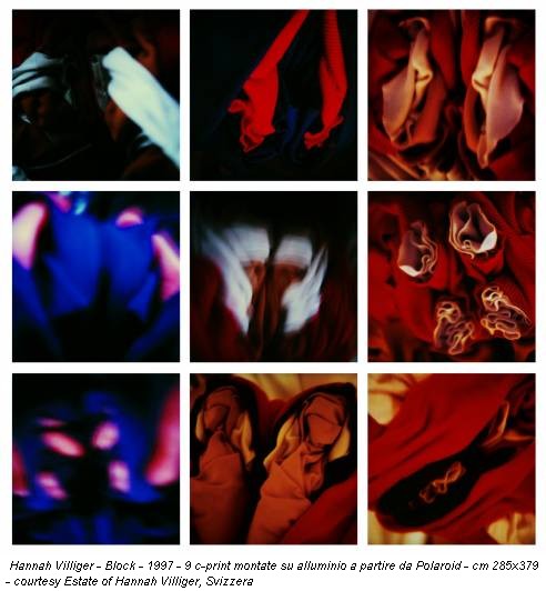 Hannah Villiger - Block - 1997 - 9 c-print montate su alluminio a partire da Polaroid - cm 285x379 - courtesy Estate of Hannah Villiger, Svizzera