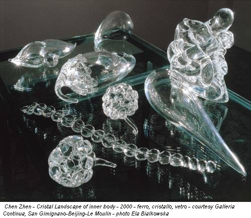 Chen Zhen - Cristal Landscape of inner body - 2000 - ferro, cristallo, vetro - courtesy Galleria Continua, San Gimignano-Beijing-Le Moulin - photo Ela Bialkowska
