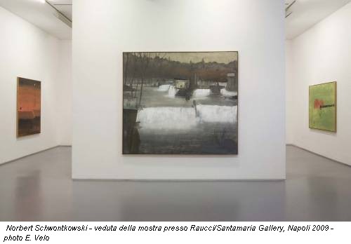 Norbert Schwontkowski - veduta della mostra presso Raucci/Santamaria Gallery, Napoli 2009 - photo E. Velo