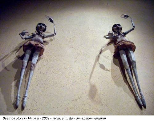 Beatrice Pucci - Mimesi - 2009 - tecnica mista - dimensioni variabili