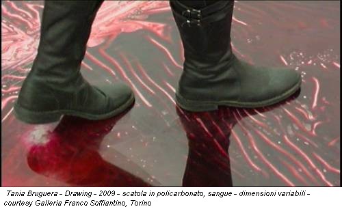 Tania Bruguera - Drawing - 2009 - scatola in policarbonato, sangue - dimensioni variabili - courtesy Galleria Franco Soffiantino, Torino