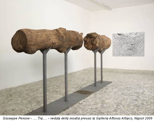 Giuseppe Penone - .....Tra..... - veduta della mostra presso la Galleria Alfonso Artiaco, Napoli 2009