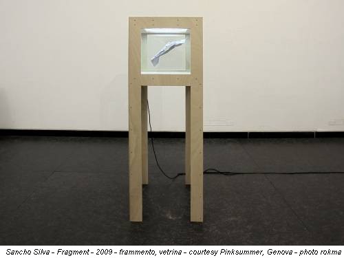 Sancho Silva - Fragment - 2009 - frammento, vetrina - courtesy Pinksummer, Genova - photo rokma