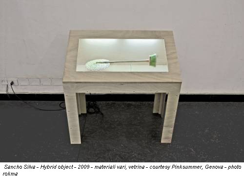 Sancho Silva - Hybrid object - 2009 - materiali vari, vetrina - courtesy Pinksummer, Genova - photo rokma