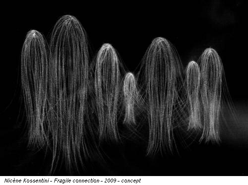Nicène Kossentini - Fragile connection - 2009 - concept