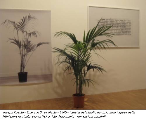 Joseph Kosuth - One and three plants - 1965 - fotostat del ritaglio da dizionario inglese della definizione di pianta, pianta fisica, foto della pianta - dimensioni variabili