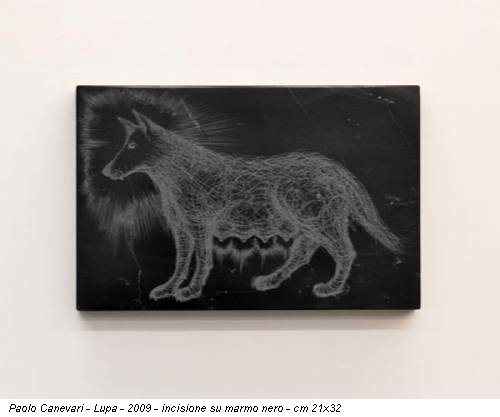 Paolo Canevari - Lupa - 2009 - incisione su marmo nero - cm 21x32