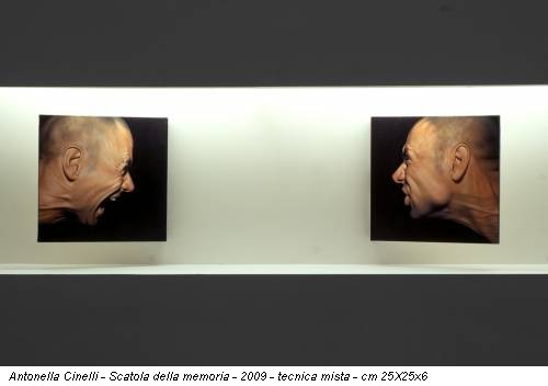 Antonella Cinelli - Scatola della memoria - 2009 - tecnica mista - cm 25X25x6
