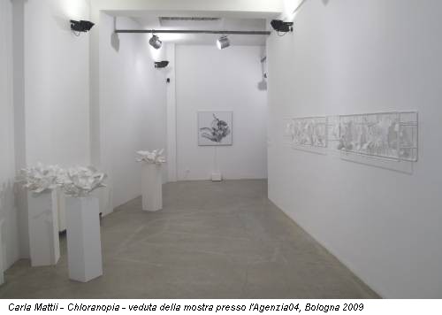Carla Mattii - Chloranopia - veduta della mostra presso l'Agenzia04, Bologna 2009