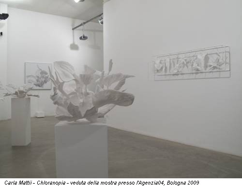Carla Mattii - Chloranopia - veduta della mostra presso l'Agenzia04, Bologna 2009