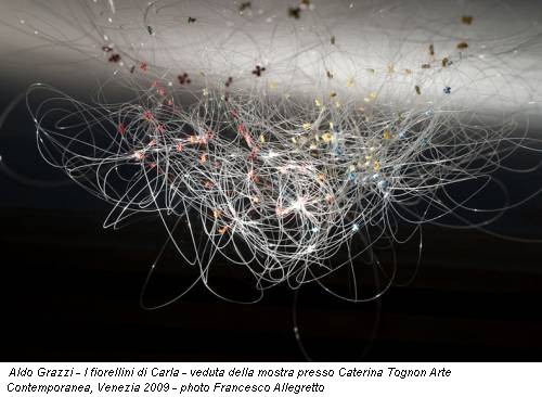 Aldo Grazzi - I fiorellini di Carla - veduta della mostra presso Caterina Tognon Arte Contemporanea, Venezia 2009 - photo Francesco Allegretto