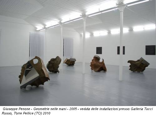 Giuseppe Penone - Geometrie nelle mani - 2005 - veduta delle installazioni presso Galleria Tucci Russo, Torre Pellice (TO) 2010
