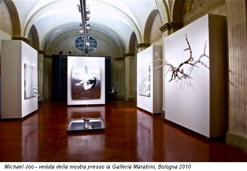 Michael Joo - veduta della mostra presso la Galleria Marabini, Bologna 2010