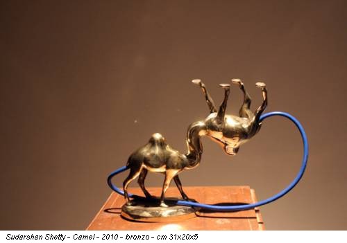 Sudarshan Shetty - Camel - 2010 - bronzo - cm 31x20x5