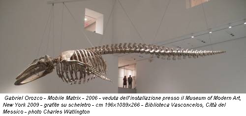 Gabriel Orozco - Mobile Matrix - 2006 - veduta dell’installazione presso il Museum of Modern Art, New York 2009 - grafite su scheletro - cm 196x1089x266 - Biblioteca Vasconcelos, Città del Messico - photo Charles Watlington
