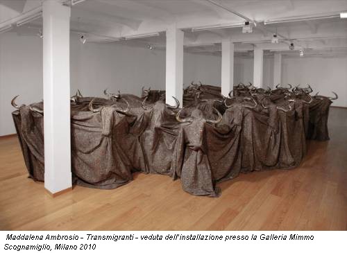 Maddalena Ambrosio - Transmigranti - veduta dell’installazione presso la Galleria Mimmo Scognamiglio, Milano 2010