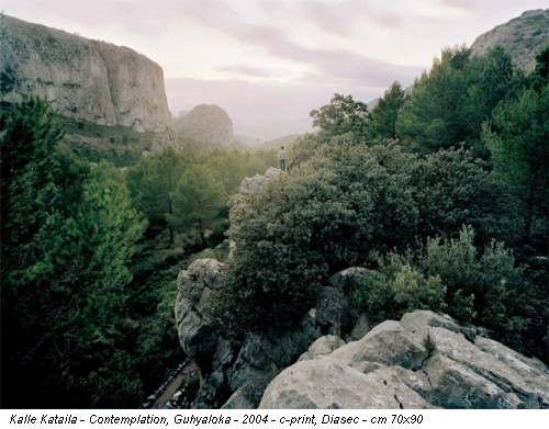 Kalle Kataila - Contemplation, Guhyaloka - 2004 - c-print, Diasec - cm 70x90