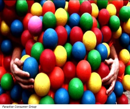 Paradise Consumer Group