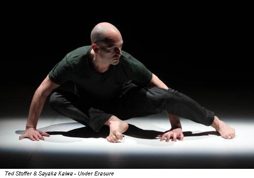 Ted Stoffer & Sayaka Kaiwa - Under Erasure