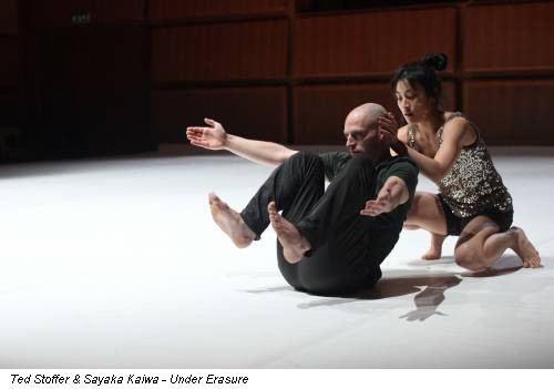 Ted Stoffer & Sayaka Kaiwa - Under Erasure