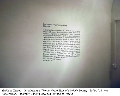 Emiliano Zelada - Introduzione a The Un-Heard Story of a Whale Society - 2006/2008 - cm 460x310x300 - courtesy Galleria Ingresso Pericoloso, Roma
