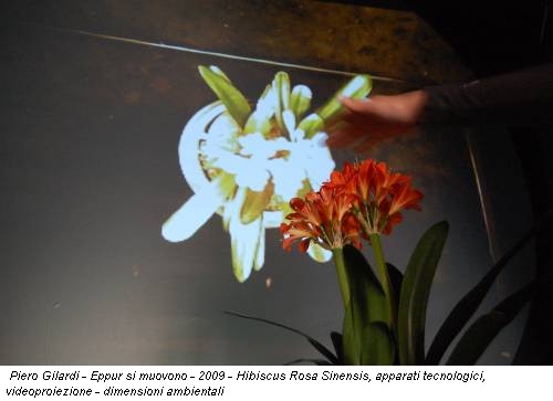 Piero Gilardi - Eppur si muovono - 2009 - Hibiscus Rosa Sinensis, apparati tecnologici, videoproiezione - dimensioni ambientali